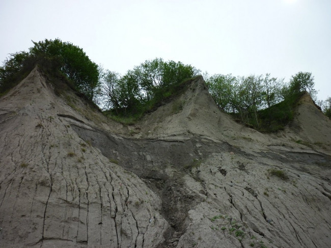 P1320208+.jpg