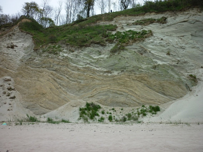 P1320226+.jpg