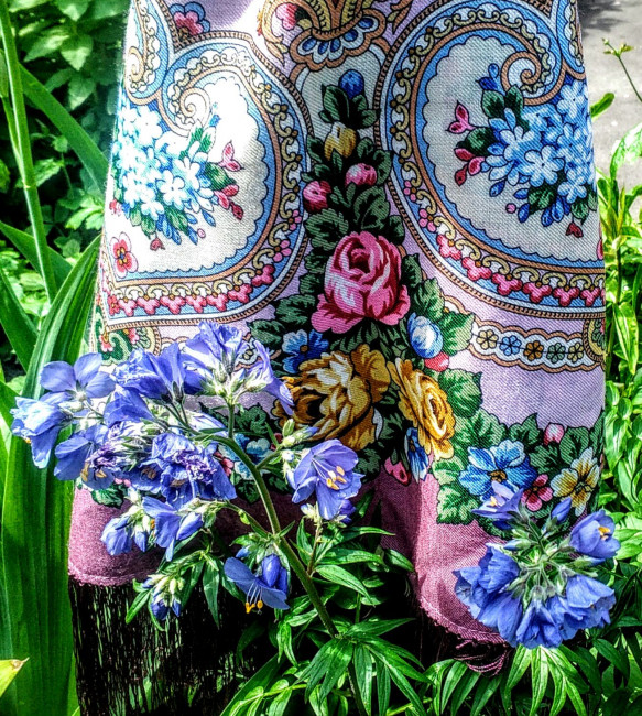 Аконит