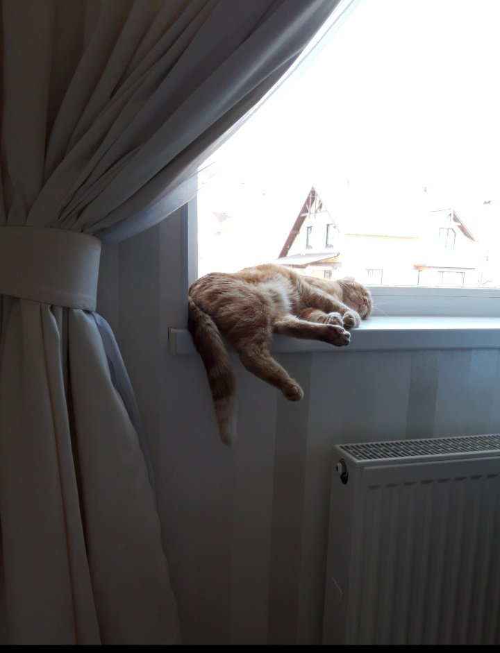 20200601_220528.jpg