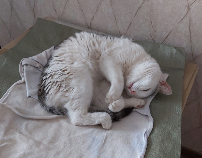 мотя.jpg