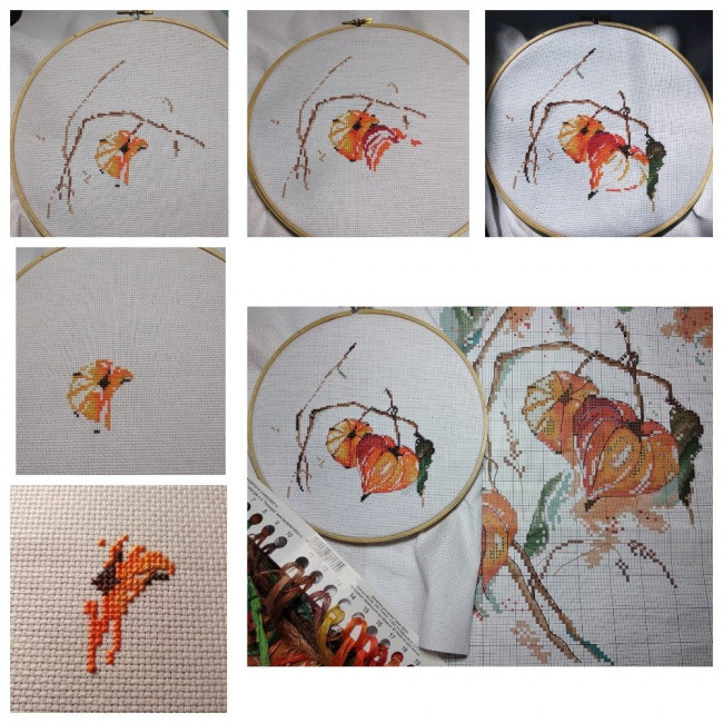 MyCollages (61).jpg