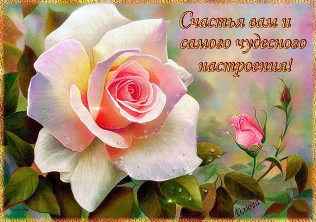 Счастья вам.jpg