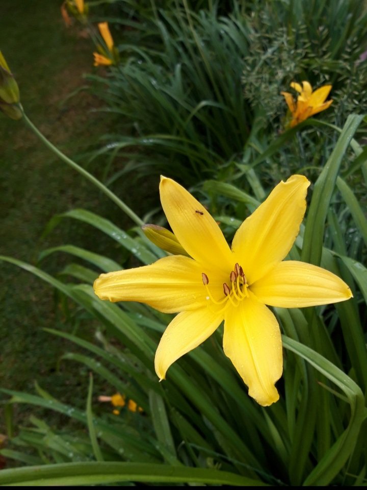 20200618_095553.jpg