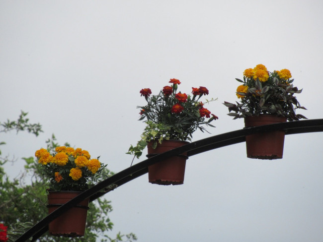 IMG_2687_9.jpg