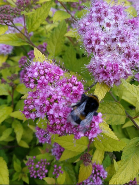 20200705_101717.jpg