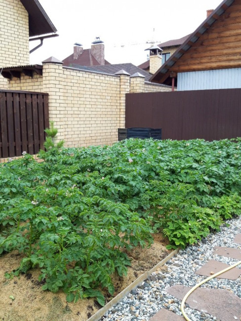 20200705_131930.jpg