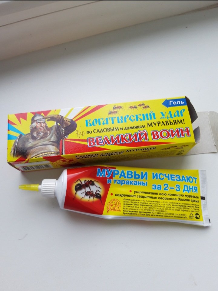 20200705_165347.jpg