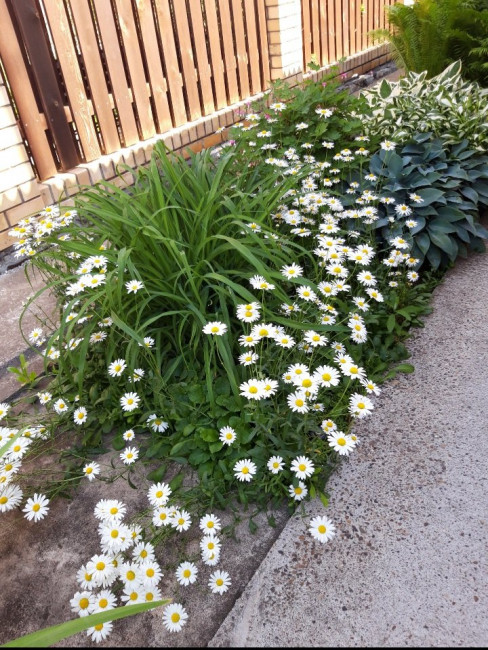 20200707_144802.jpg