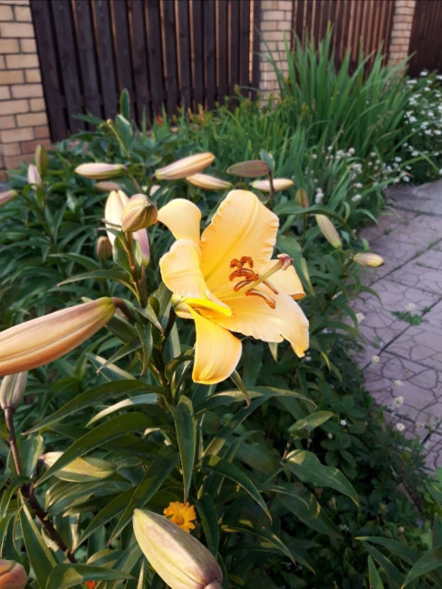 20200714_193016.jpg