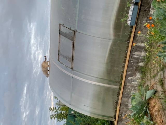 2060744D-A365-40FF-A644-EC2B6AE77104.jpeg
