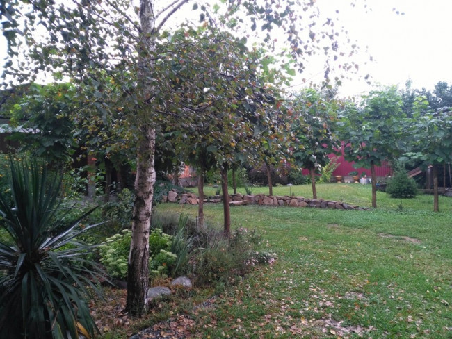 IMG_20200822_162823.jpg