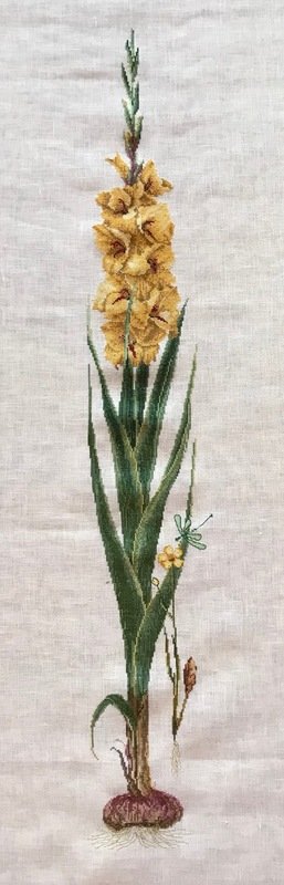 Thea Gouverneur. Жёлтый гладиолус Арт. 3072