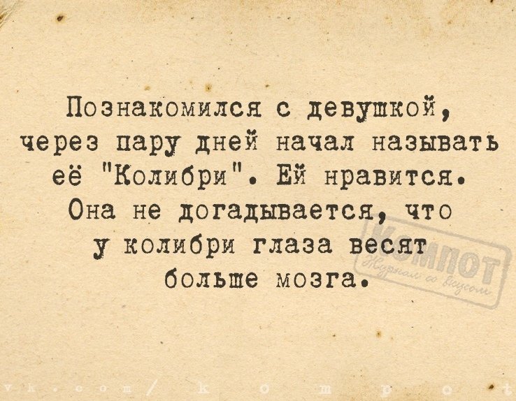 MKoae9VOoj4.jpg