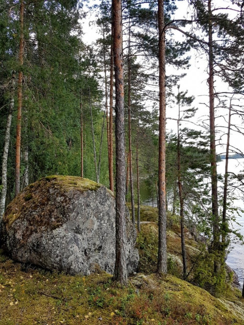 20200911_214129.iWQpz.jpg