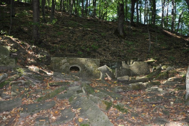 DSC_7381.JPG