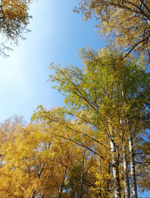 20200928_225227.jpg