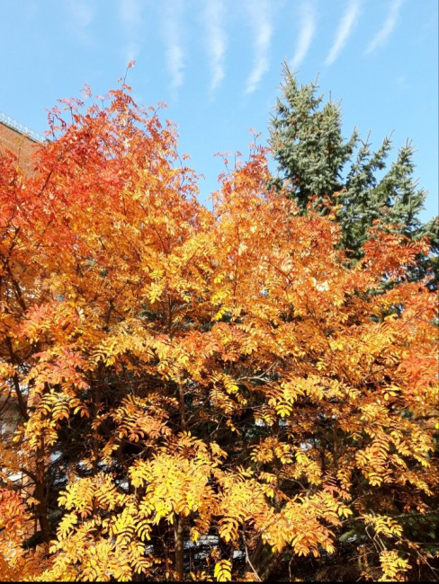 20200928_225057.jpg