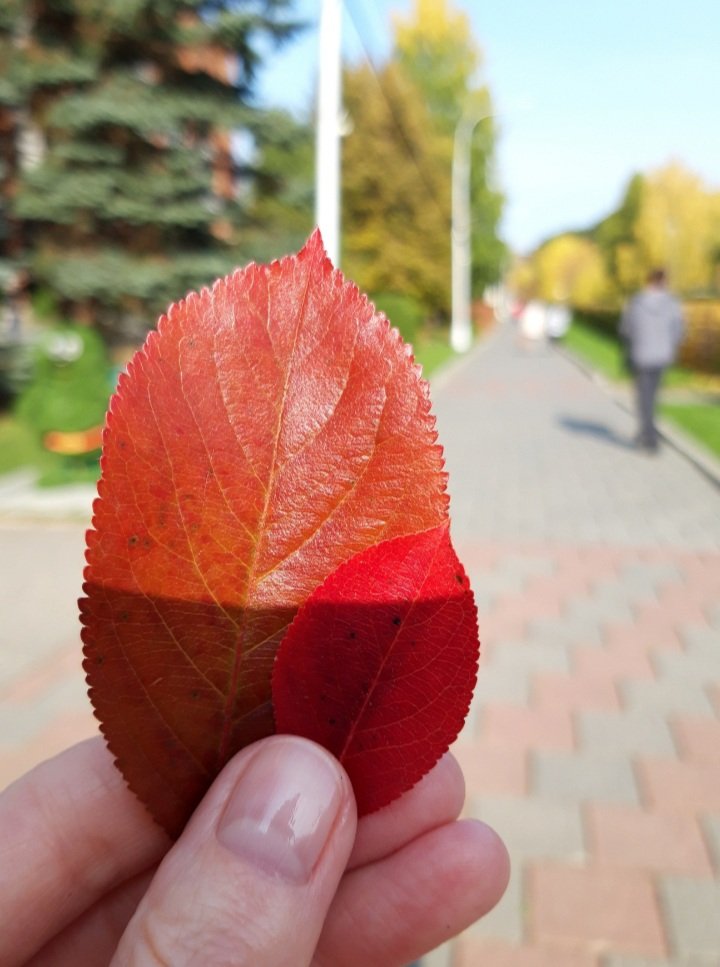 20200928_225113.jpg