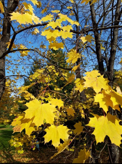 20200928_225139.jpg
