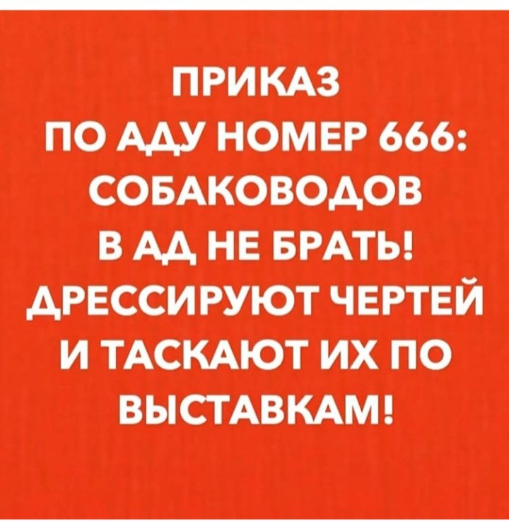 20201004_152247.jpg
