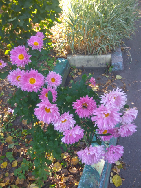 IMG_20200831_160904.jpg