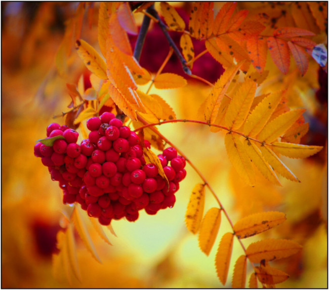8433B5DD-1C02-4D49-A077-77A190AAB109.jpeg