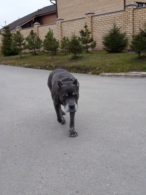 20201014_110906.jpg