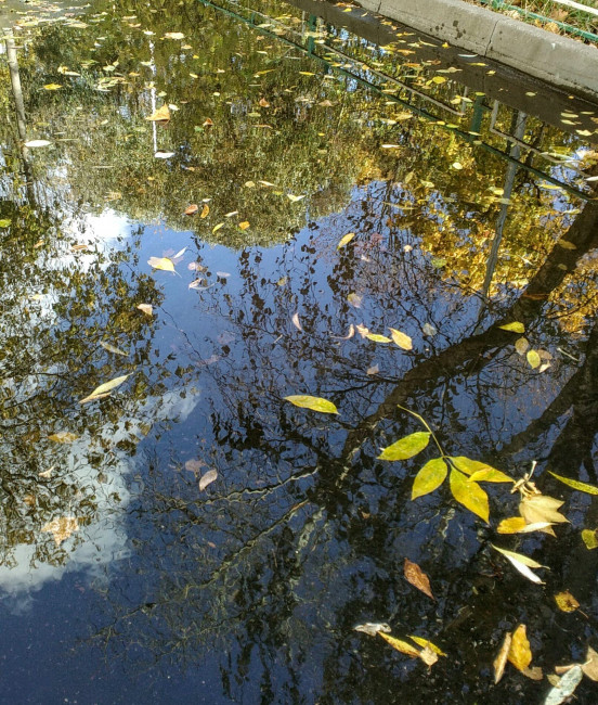 IMG_20201015_140419.jpg