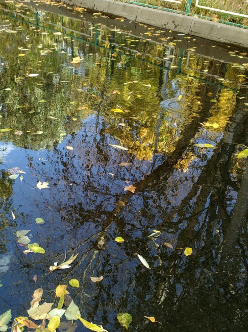 IMG_20201015_140359.jpg