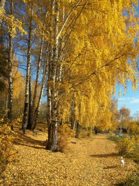 20201016_142258.jpg