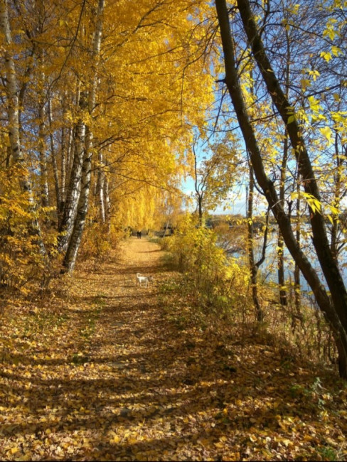 20201016_142312.jpg