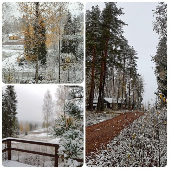 20201019_123418.mUvgX.jpg