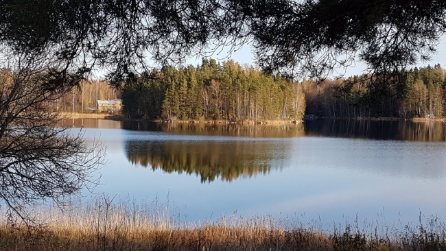 20201025_140117.ySPwa.jpg