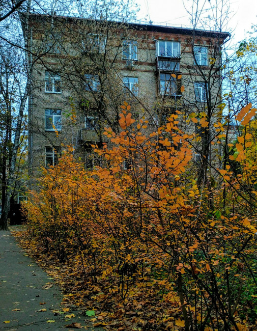 IMG_20201031_130309.jpg