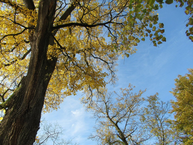 IMG_3995_1.jpg