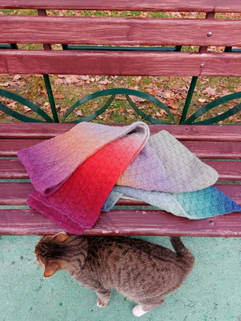 с котом.jpg