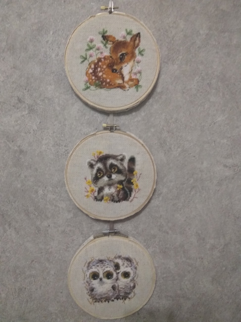 Риолис