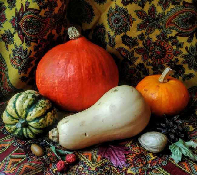 IMG_20201111_103120.jpg