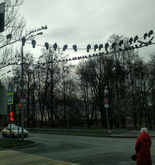 IMG_20201126_122425.jpg