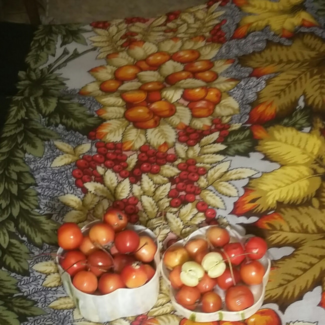 20201124_210523-1.jpg