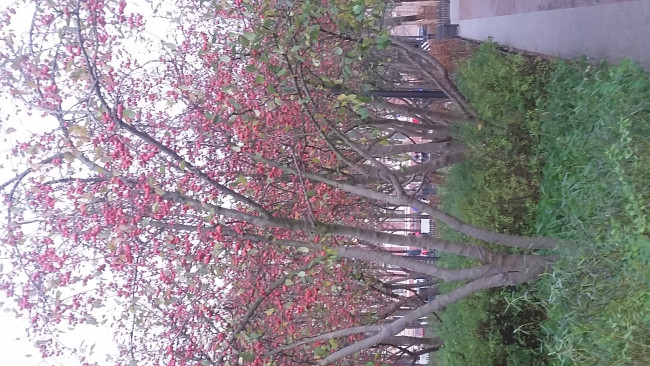 20201122_140908.jpg