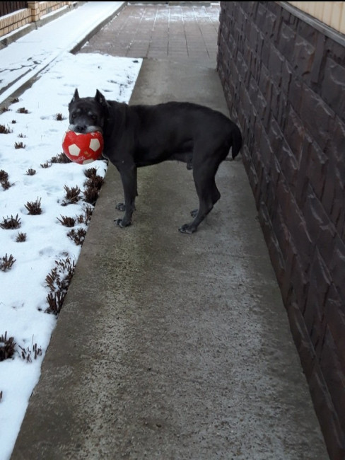 20201205_102430.jpg