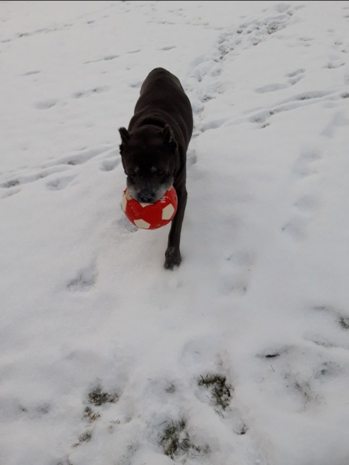 20201205_102442.jpg