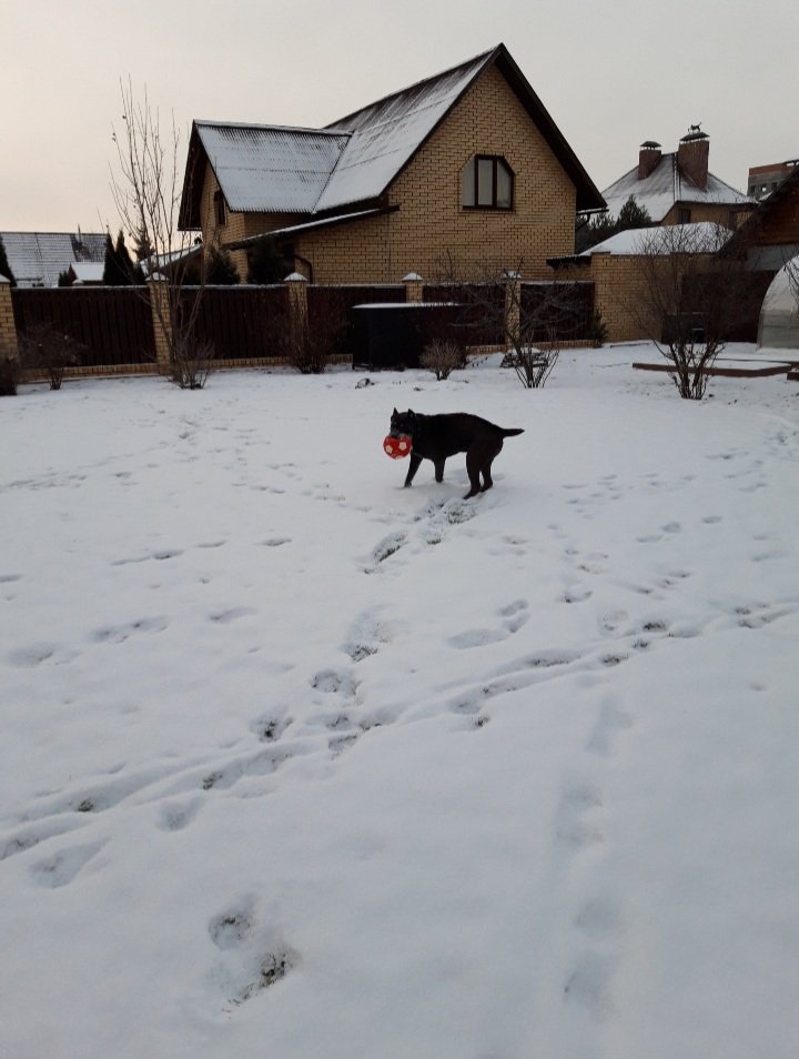 20201205_102455.jpg