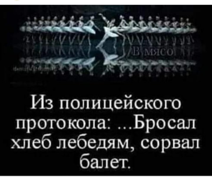 20201205_155631.jpg