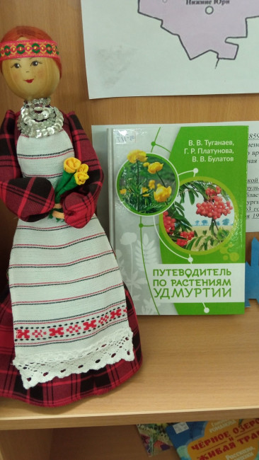 IMG_20201123_163305.jpg