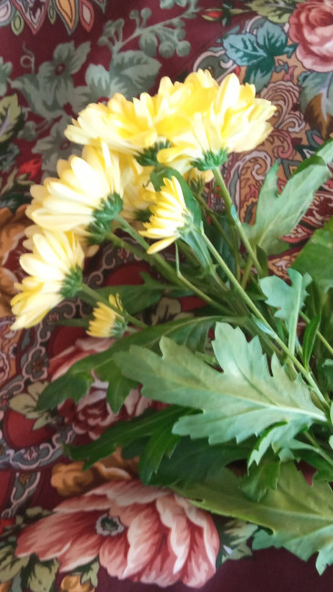IMG_20210118_122103.jpg