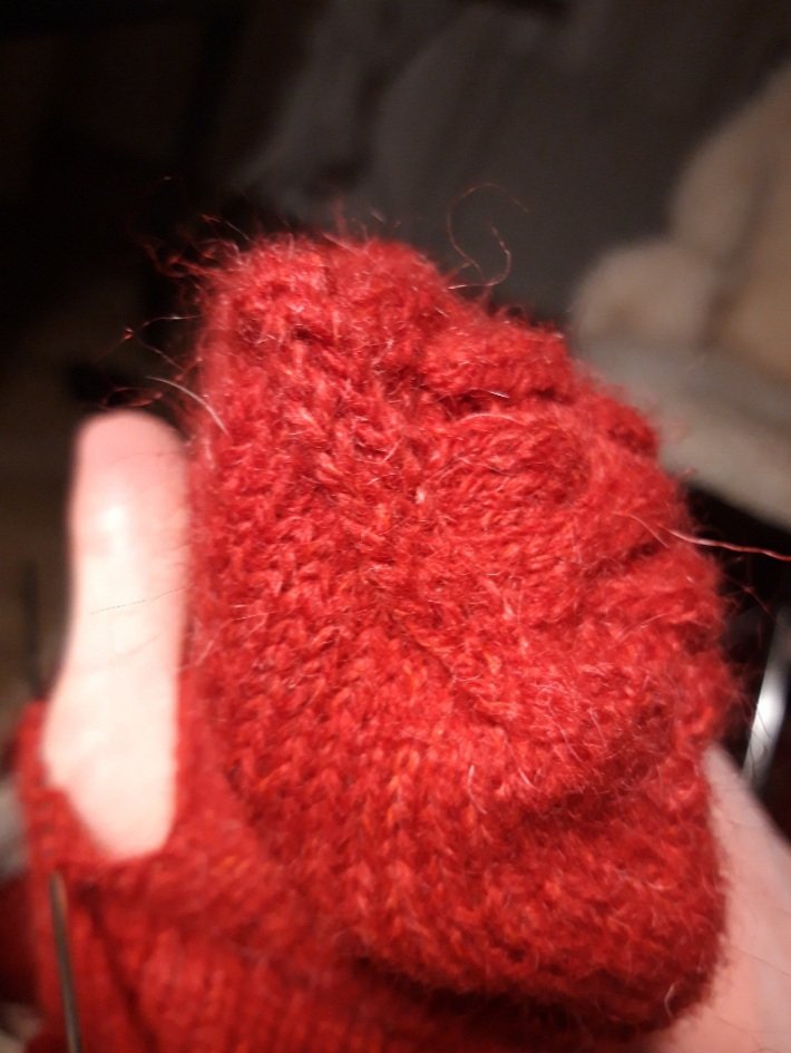 20210120_185449.jpg