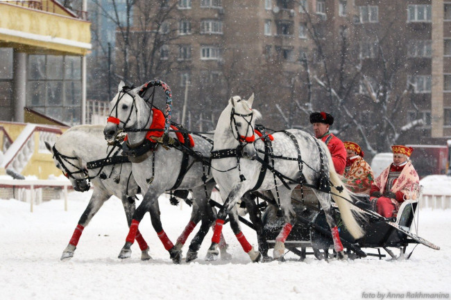 Тройка в яблоках зимняя.jpg